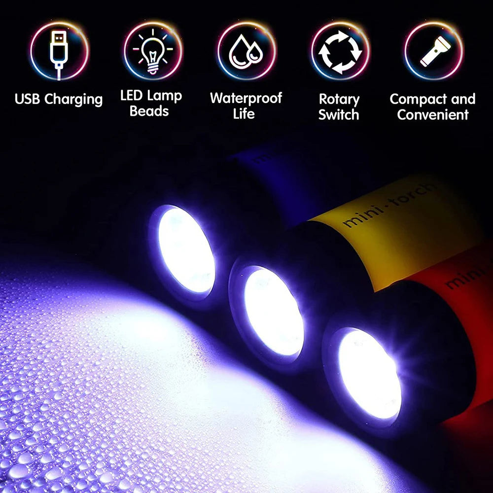 Mini Keychain Flashlight USB Rechargeable